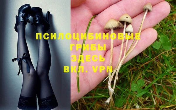 герыч Аркадак