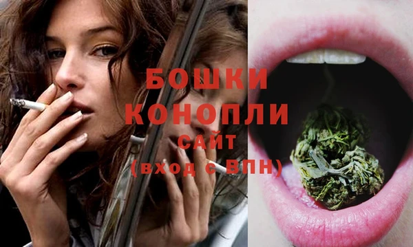 ешки Арсеньев