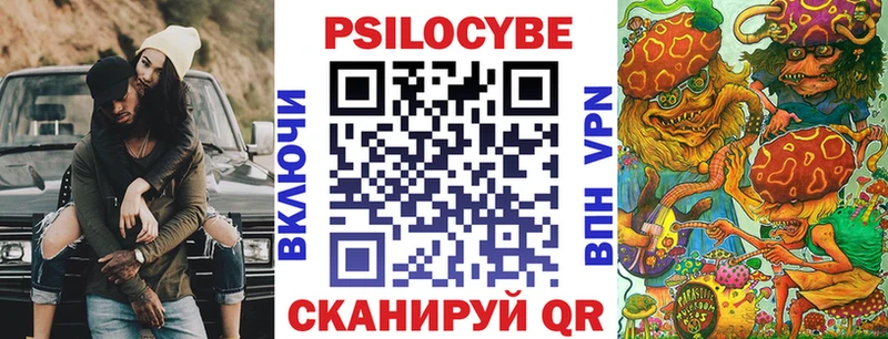 как найти закладки Белокуриха Псилоцибиновые грибы Psilocybine cubensis
